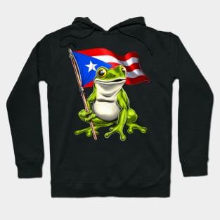 Coqui Frog Puerto Rico Flag Hoodie